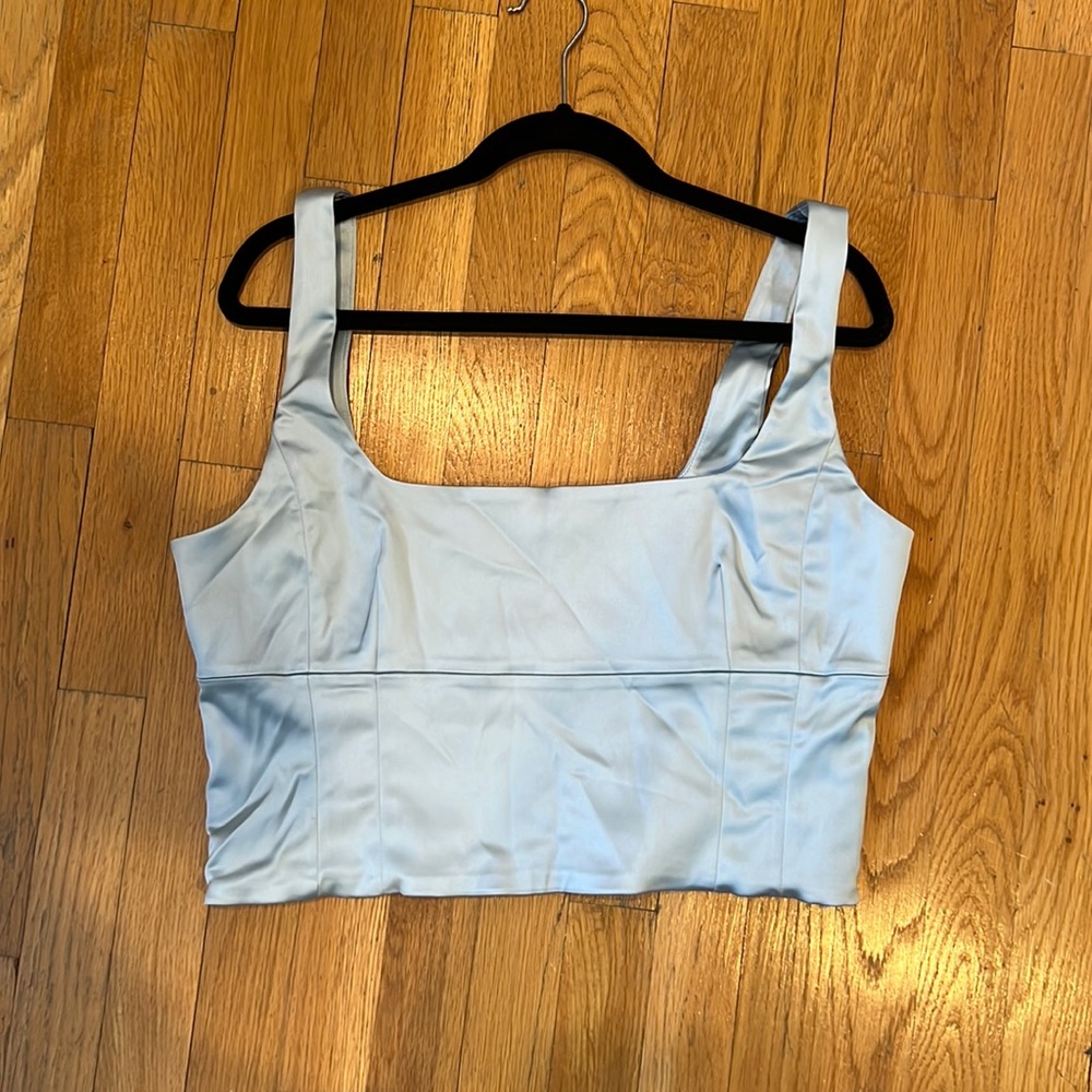 Aritzia shine bustier